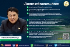 เปิดนโยบายการพัฒนาการผลิตข้าว