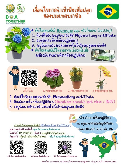 เงื่อนไขการนำเข้าพืชเพื่อปลูก 4 ชนิด ของประเทศบราซิล