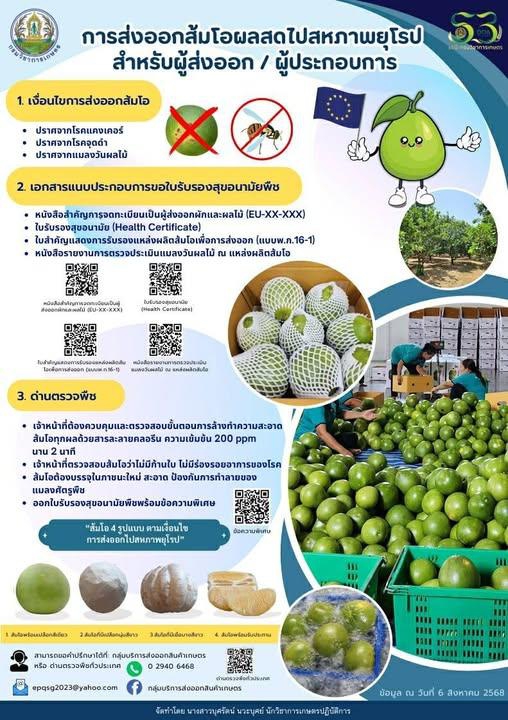 การส่งออกผลส้มโอสดไปสหภาพยุโรป​