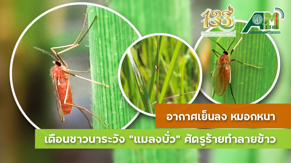 เตือนการเฝ้าระวัง