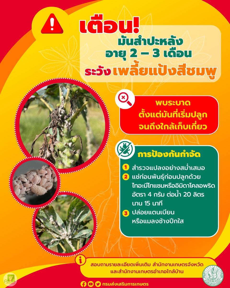 เตือนการเฝ้าระวัง