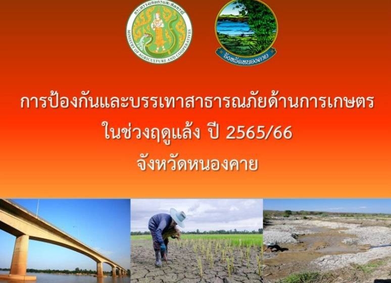 การป้องกันและบรรเทาสาธารณภัย