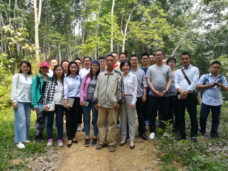 เยี่ยมชมสวนยางรัฐวิสาหกิจของ Yunnan State Farm Group