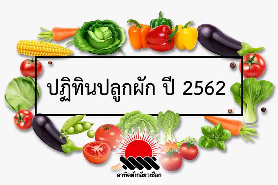 ปฏิทินปลูกผัก ปี 2562