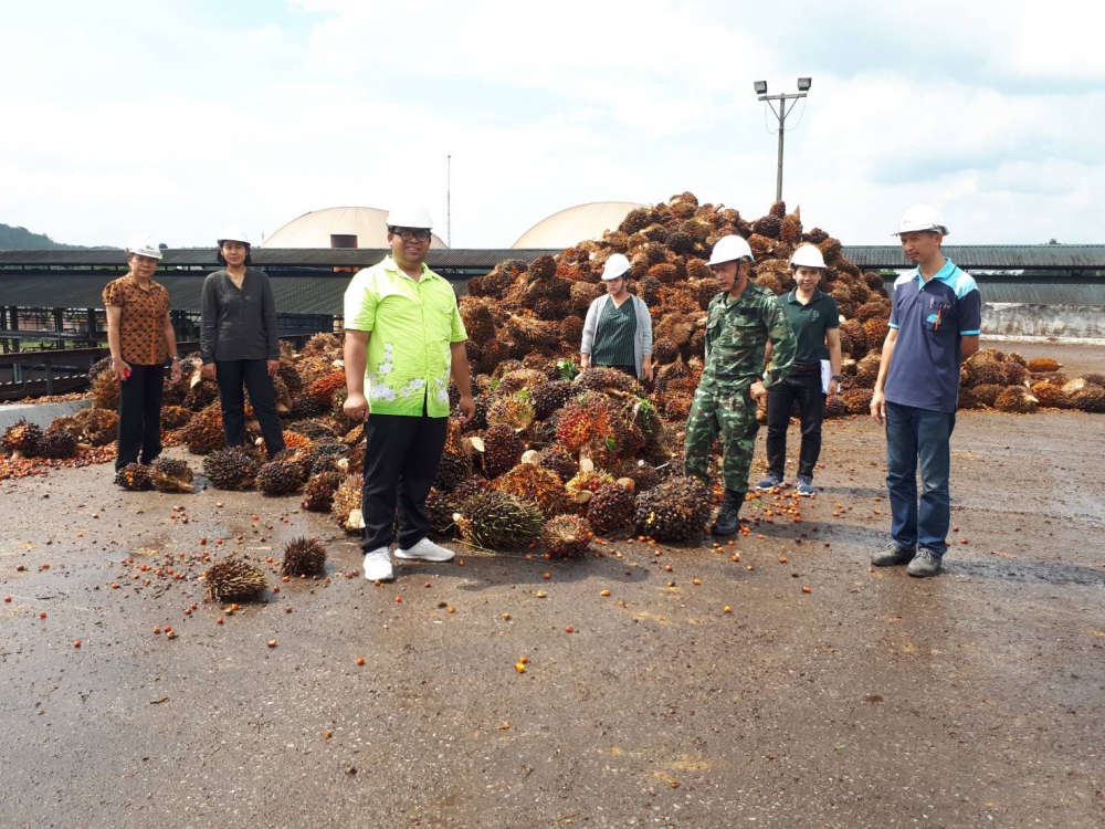 ตรวจสอบสต็อกน้ำมันปาล์มคงเหลือทั้งระบบระดับจังหวัด