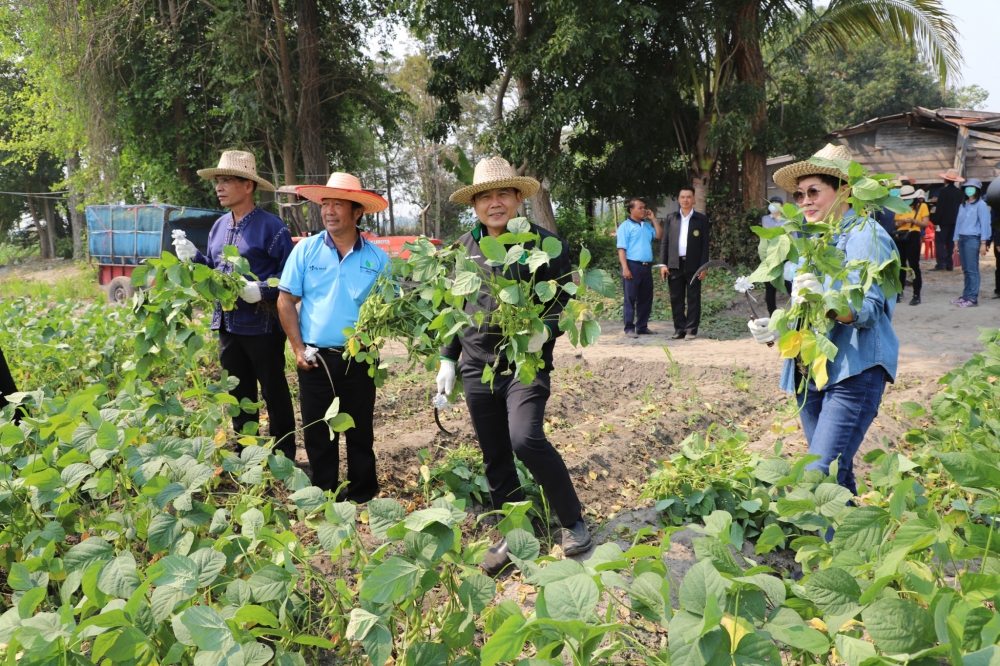จังหวัดอุทัยธานีอธิบดีกรมส่งเสริมการเกษตร