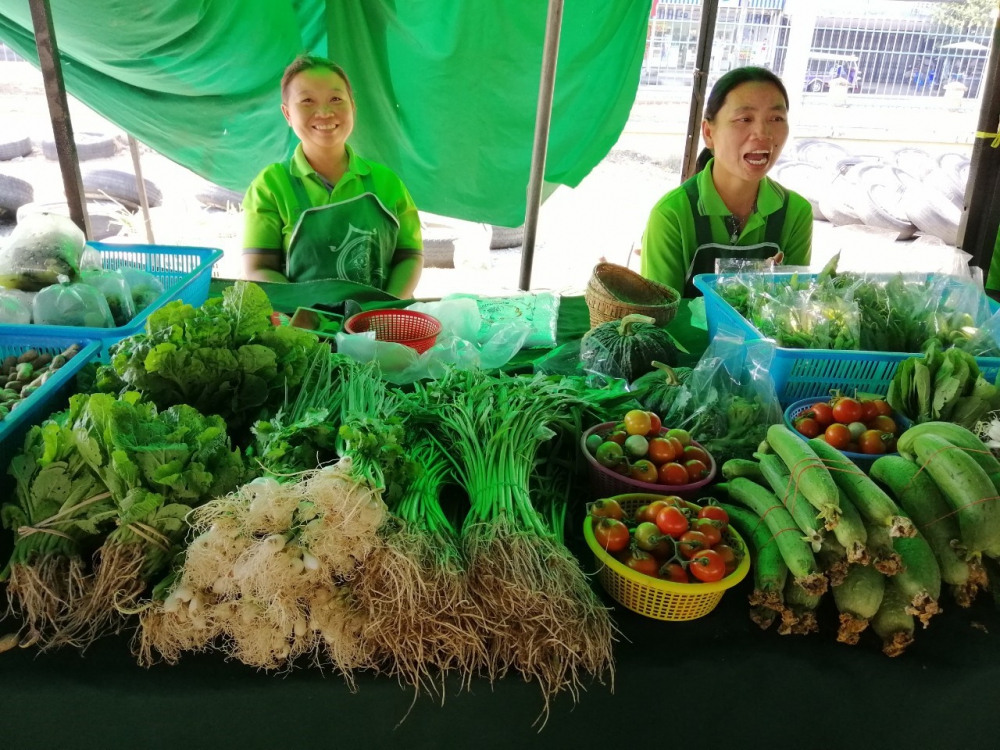 26 ก.พ.63   ตลาดเกษตรกร จังหวัดบุรีรัมย์ (Farmer Market)