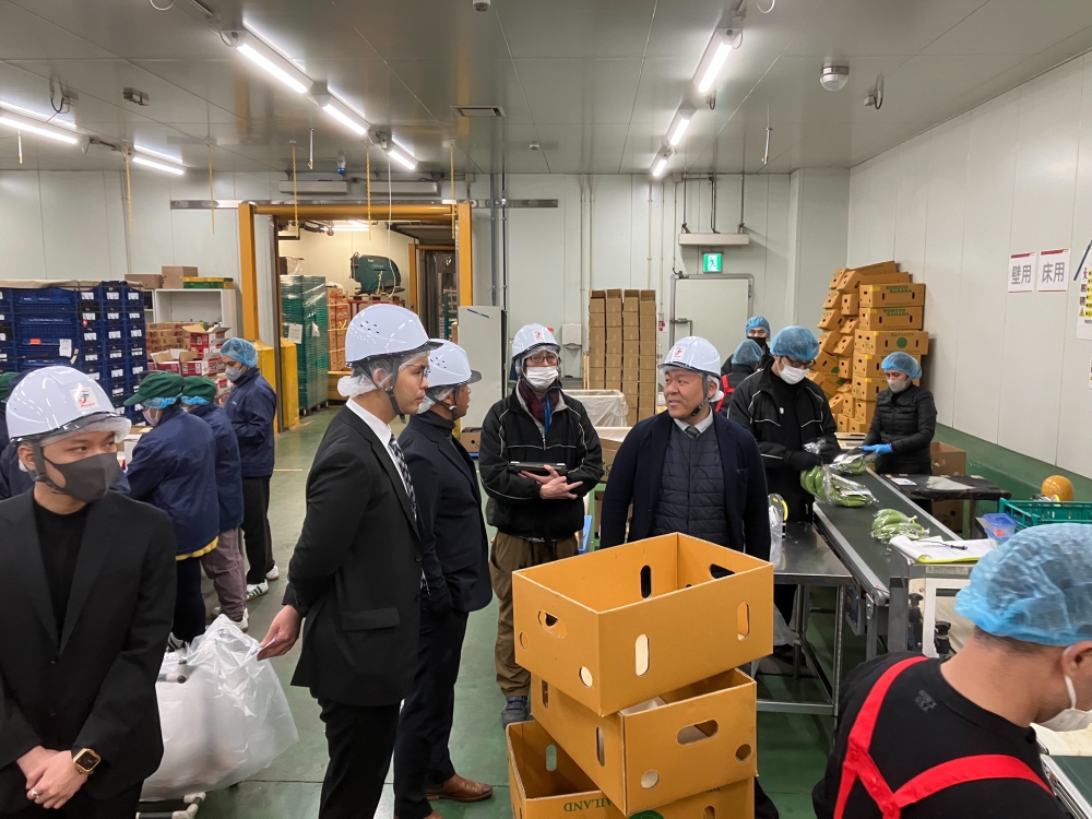 พบผู้ประกอบการนำเข้ากล้วยและศึกษาดูงานขั้นตอนการบ่มกล้วยที่นำเข้าจากประเทศไทย