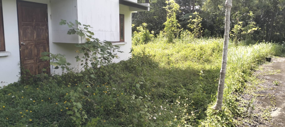 ลงพื้นที่ติดตามโครงการอนุรักษ์พันธุกรรมพืช