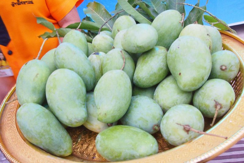 การอนุรักษ์พันธุกรรมพืชอันเนื่องมาจากพระราชดำริฯ