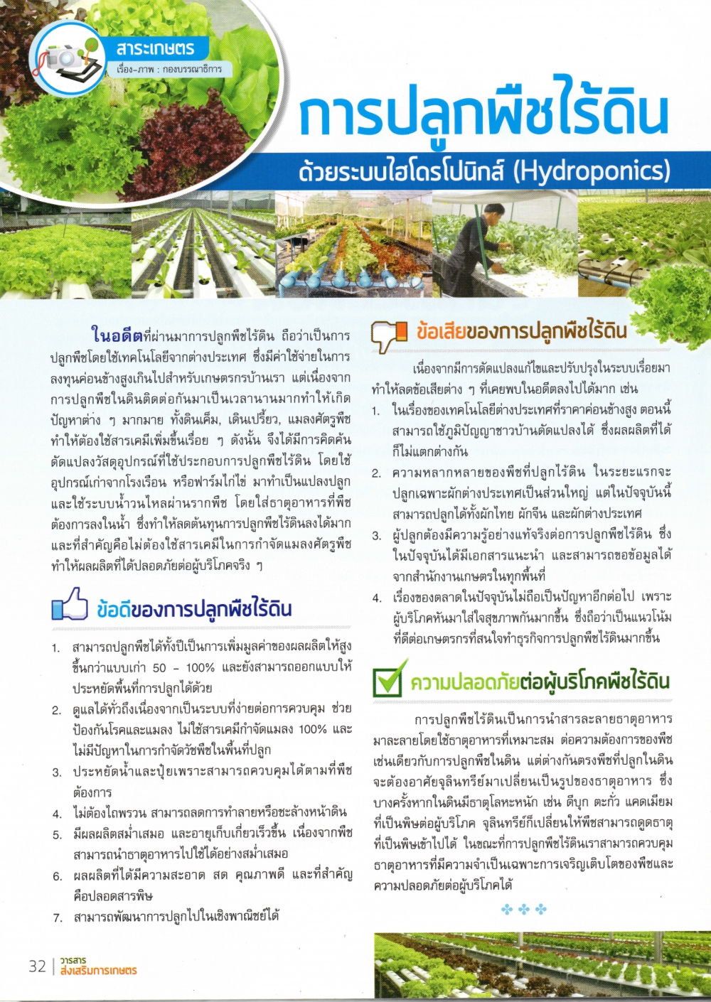 การปลูกพืชไร้ดิน ด้วยระบบไฮโดรโปนิกส์