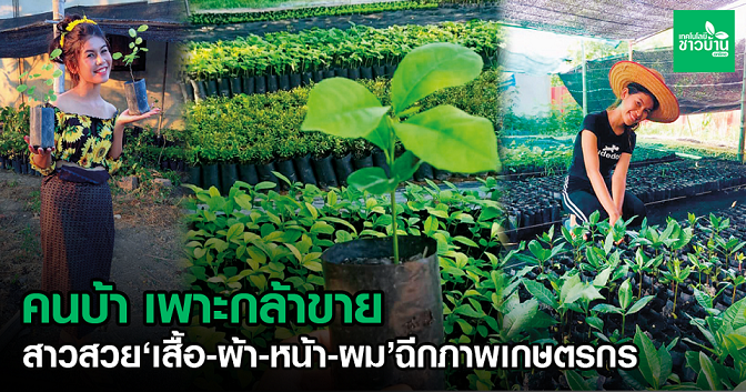 คนบ้า เพาะกล้าขาย