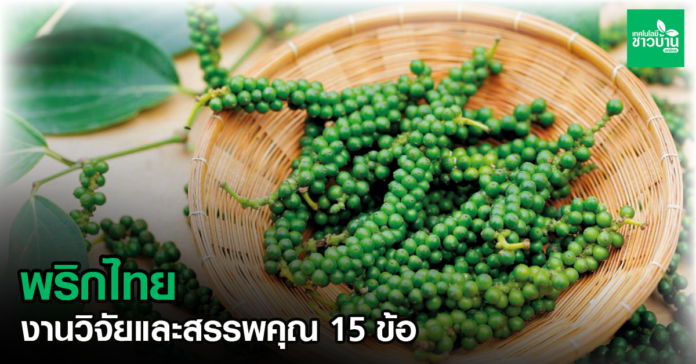 พริกไทย งานวิจัยและสรรพคุณ 15 ข้อ