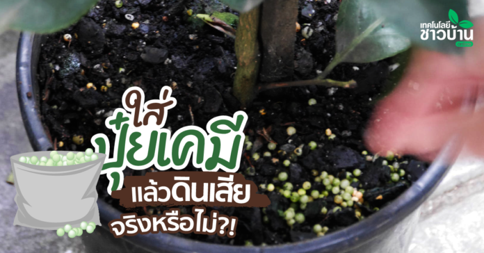 ‘ปุ๋ยเคมี’ ทำให้ดินเสีย…ดินเป็นกรด จริงหรือไม่?!