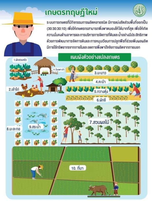 เกษตรทฤษฎีใหม่