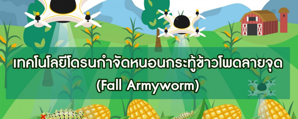 เทคโนโลยีโดรนกำจัดหนอนกระทู้ข้าวโพดลายจุด (Fall Armyworm)