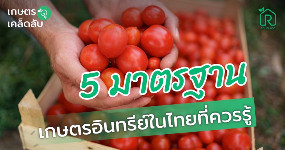 รวม5มาตรฐานเกษตรอินทรีย์ในประเทศไทยที่เกษตรกรควรรู้