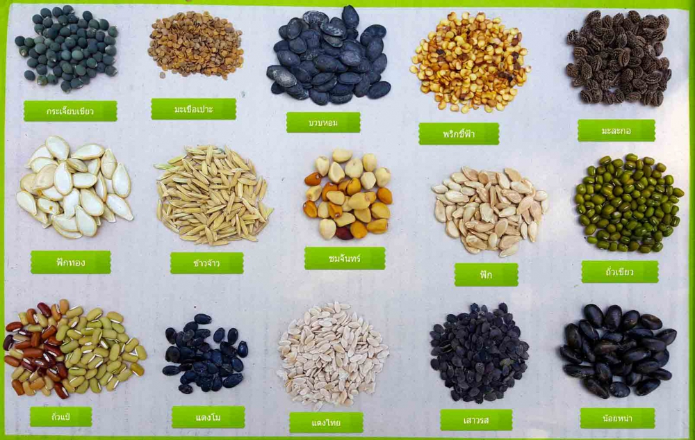 วิธีการเก็บเมล็ดพันธุ์ไว้ใช้งาน