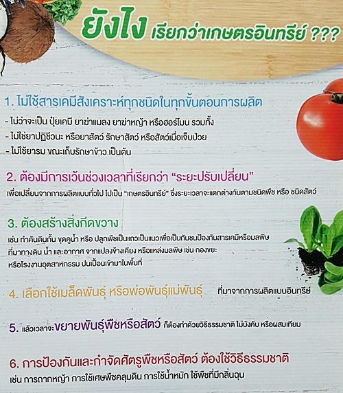 เกษตรอินทรีย์ (Organic Agriculture) ทางเลือก ทางรอดของเกษตรกรไทย