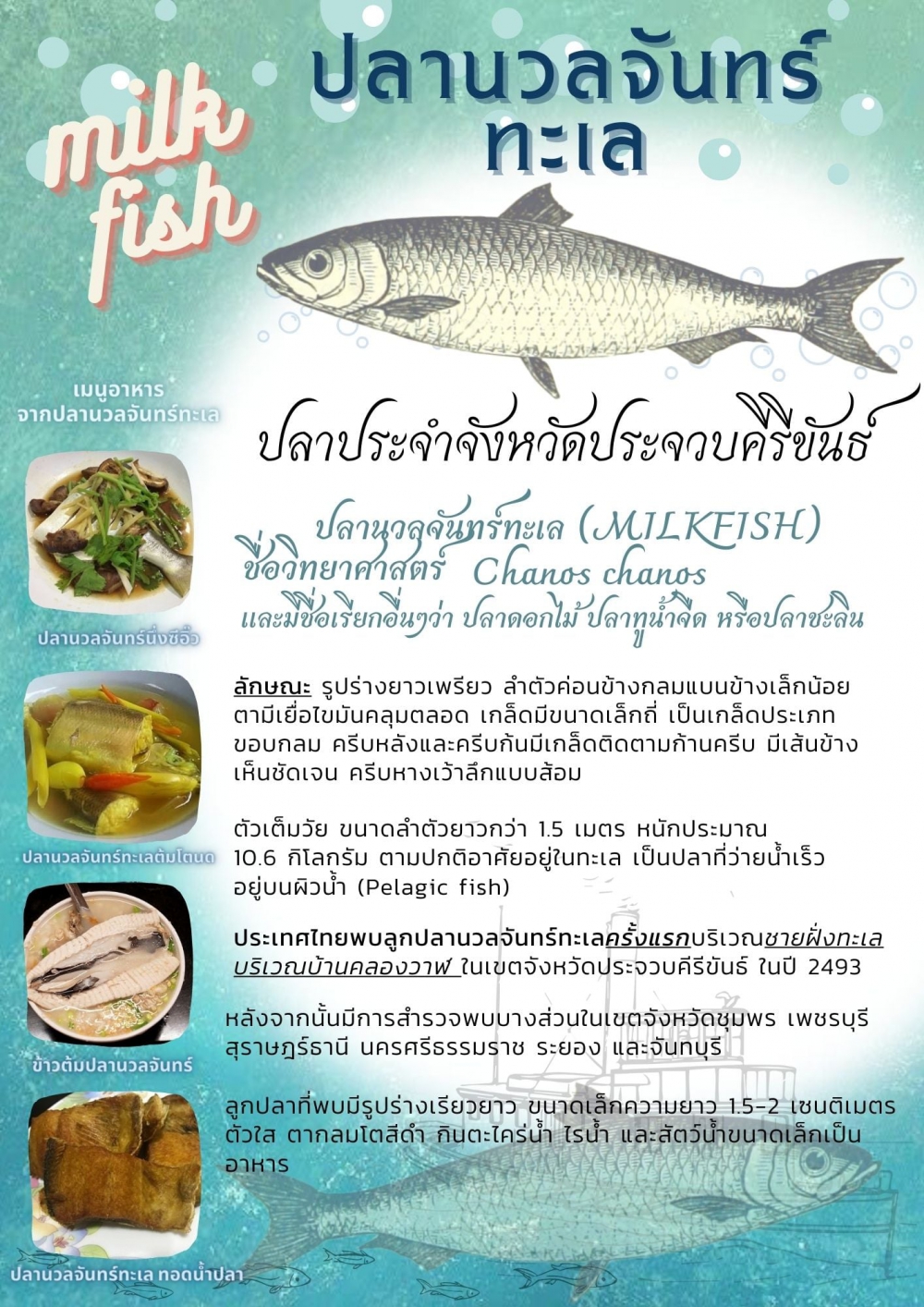 ปลานวลจันทร์ปลาประจำจังหวัดประจวบคีรีขันธ์