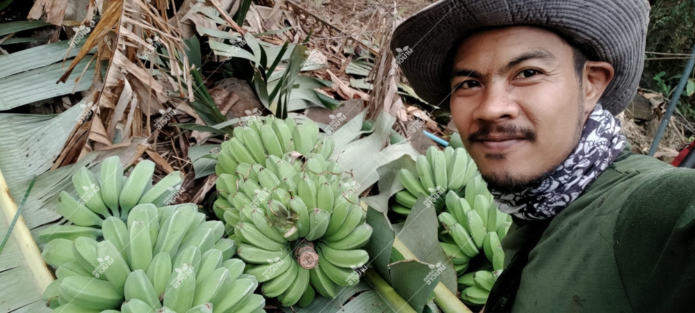 “ปลีกล้วย” ผลพลอยได้ ที่ไม่ต้องลงทุนเพิ่ม