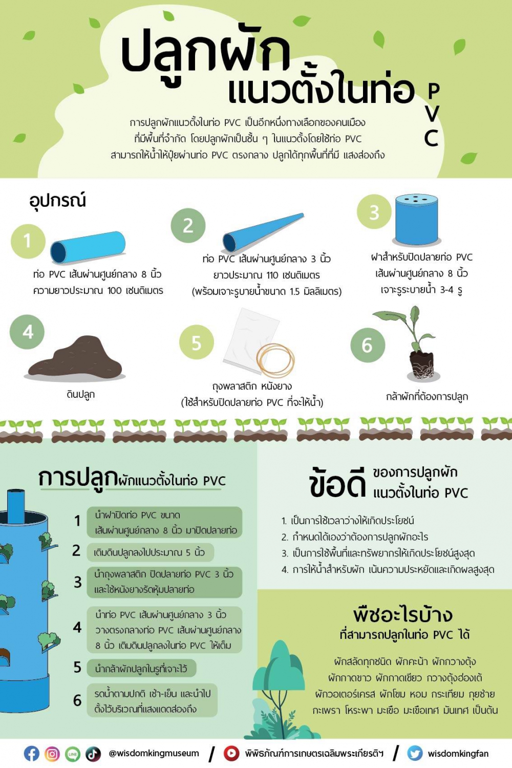 เทคนิคปลูกผักแนวตั้งในท่อ