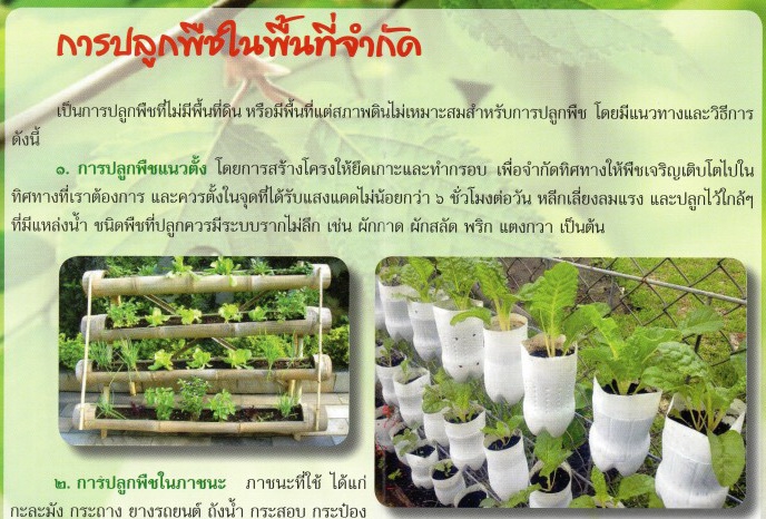 การปลูกพืชในพื้นที่จำกัด