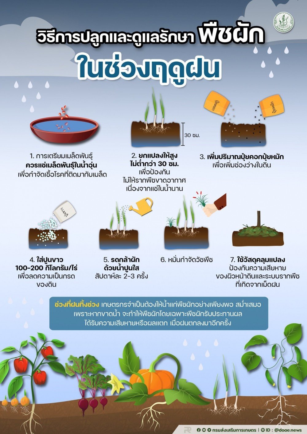 วิธีการปลูกและดูแลรักษาพืชผัก ในช่วงฤดูฝน