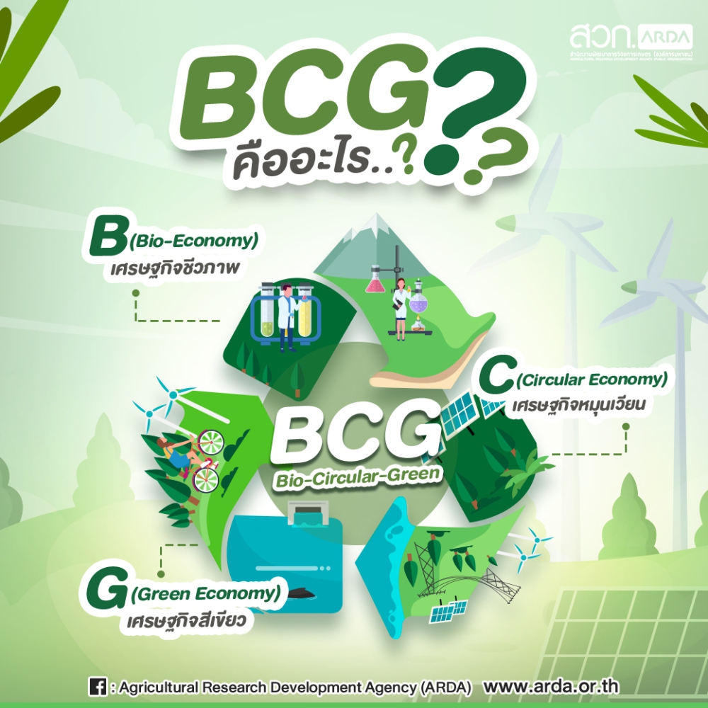 BCG และประโยชน์ 6 อย่าง
