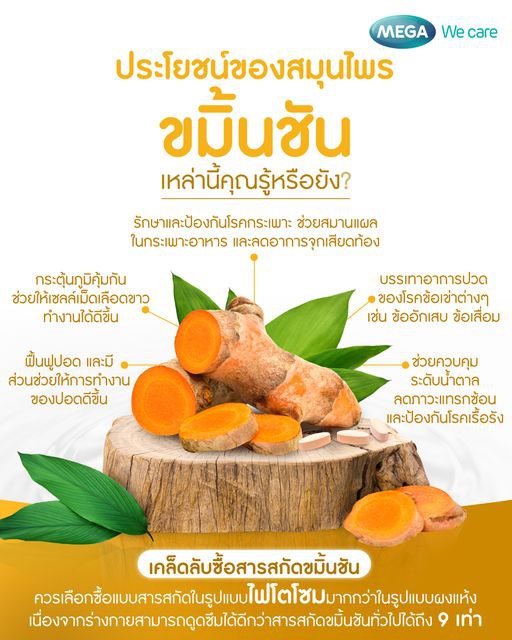 ประโยชน์ของสมุนไพร ขมิ้นชัน