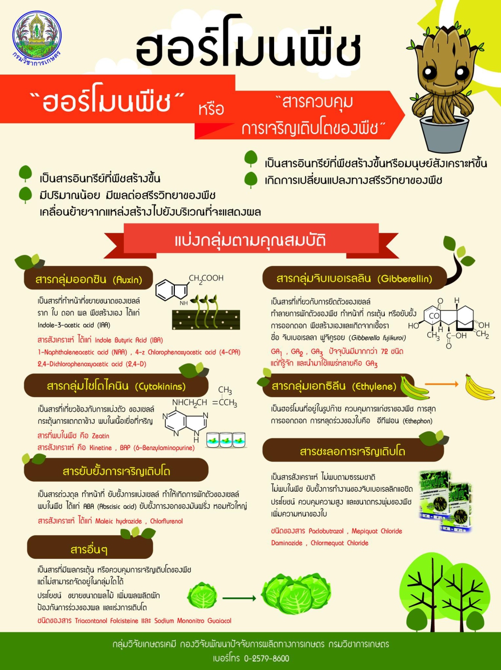 มาทำความรู้จักกับฮอร์โมนพืชและวิธีการใช้กัน
