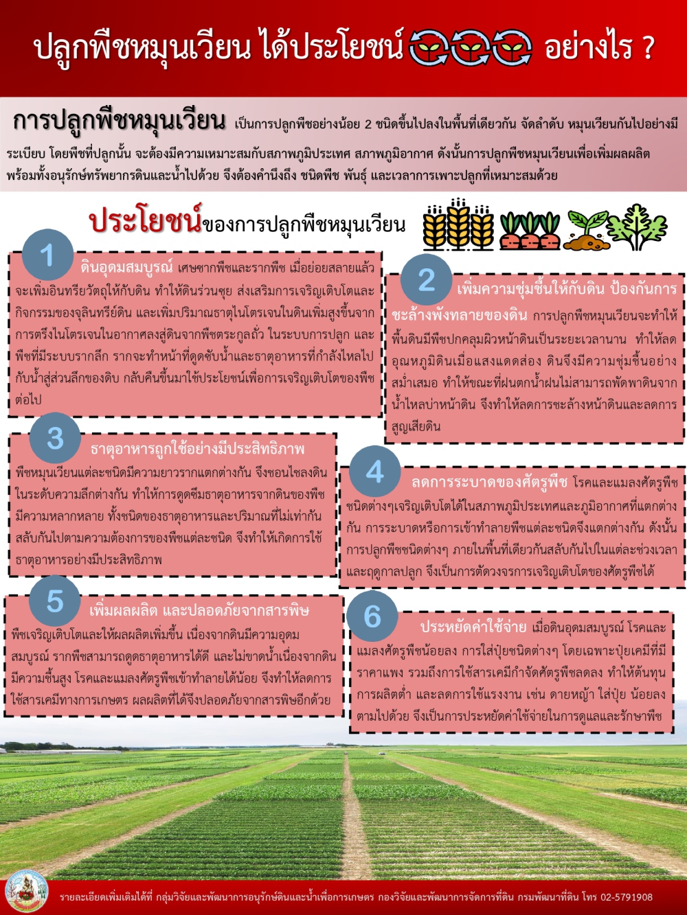 ปลูกพืชหมุนเวียน ได้ประโยชน์อย่างไร?