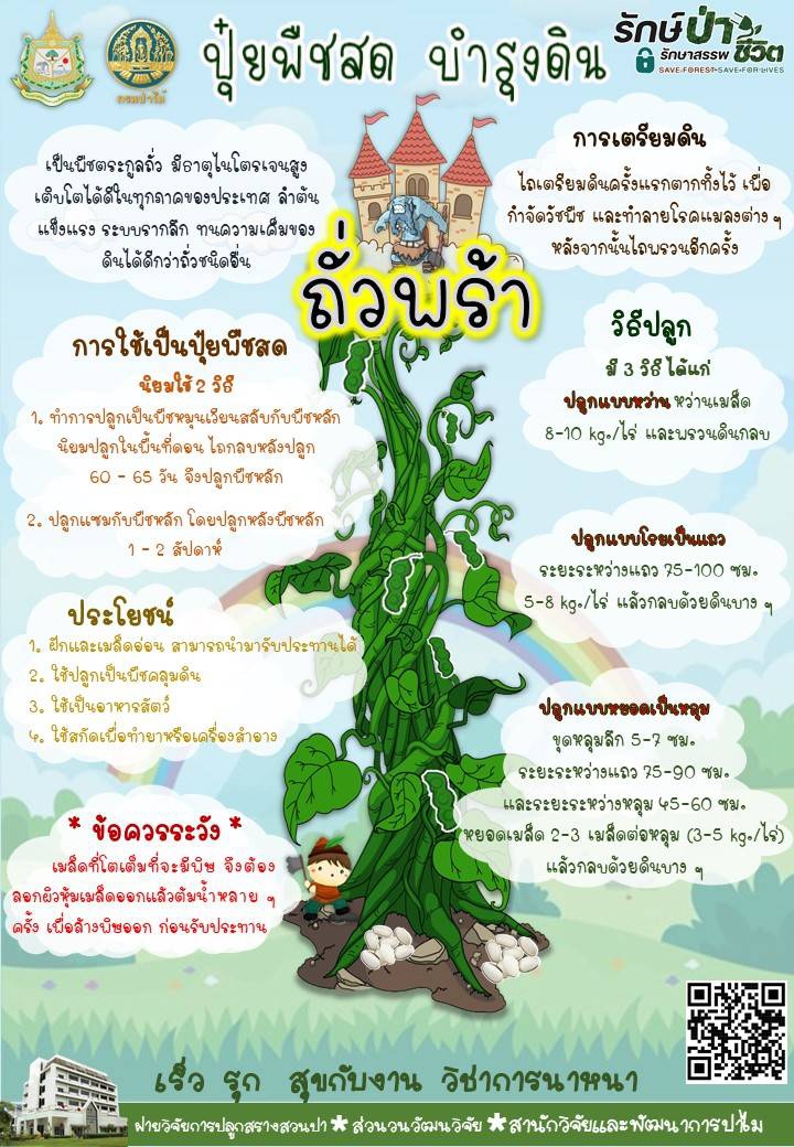 ถั่วพร้า