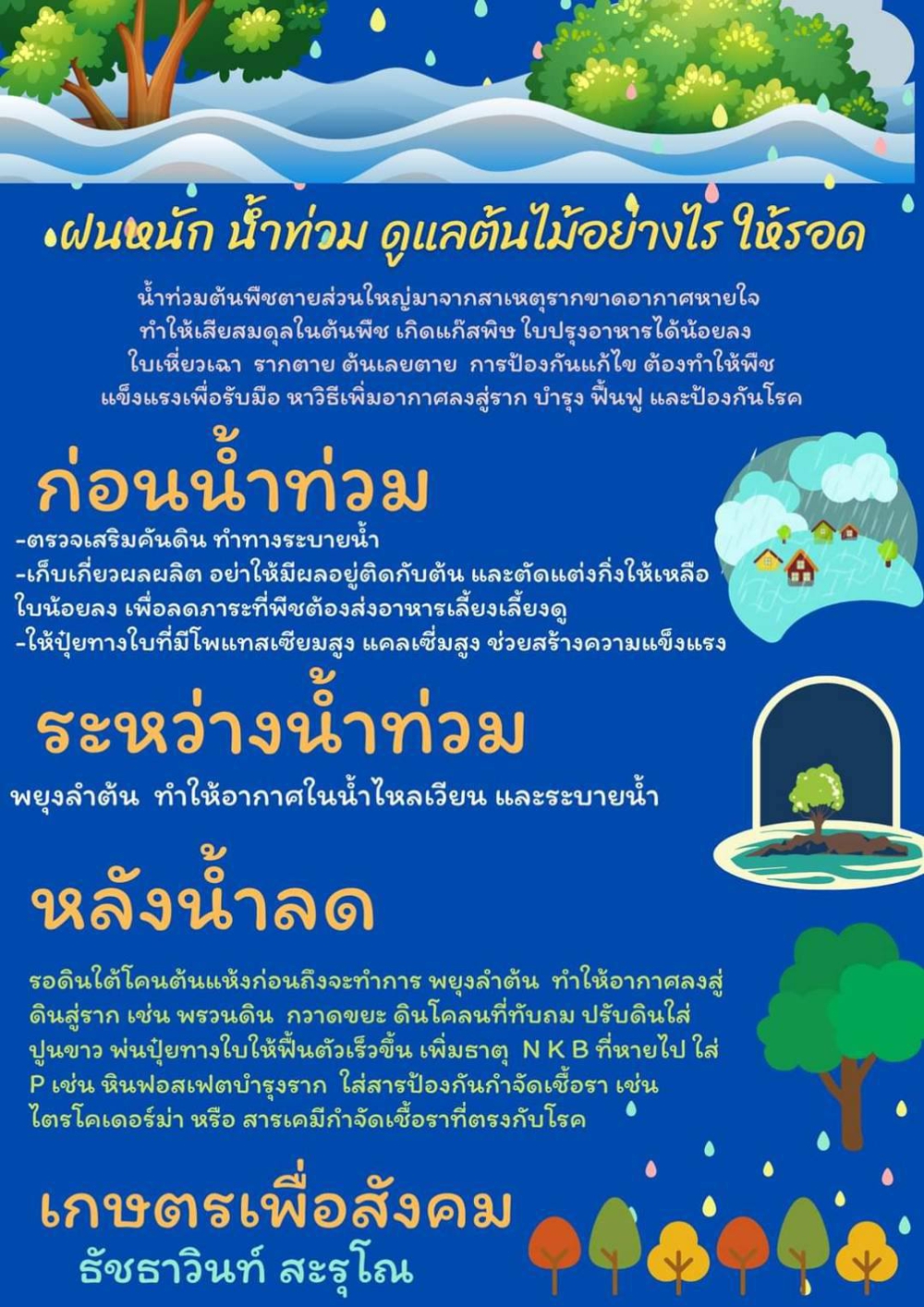 การจัดการพืชเพื่อรับมือกับน้ำท่วม