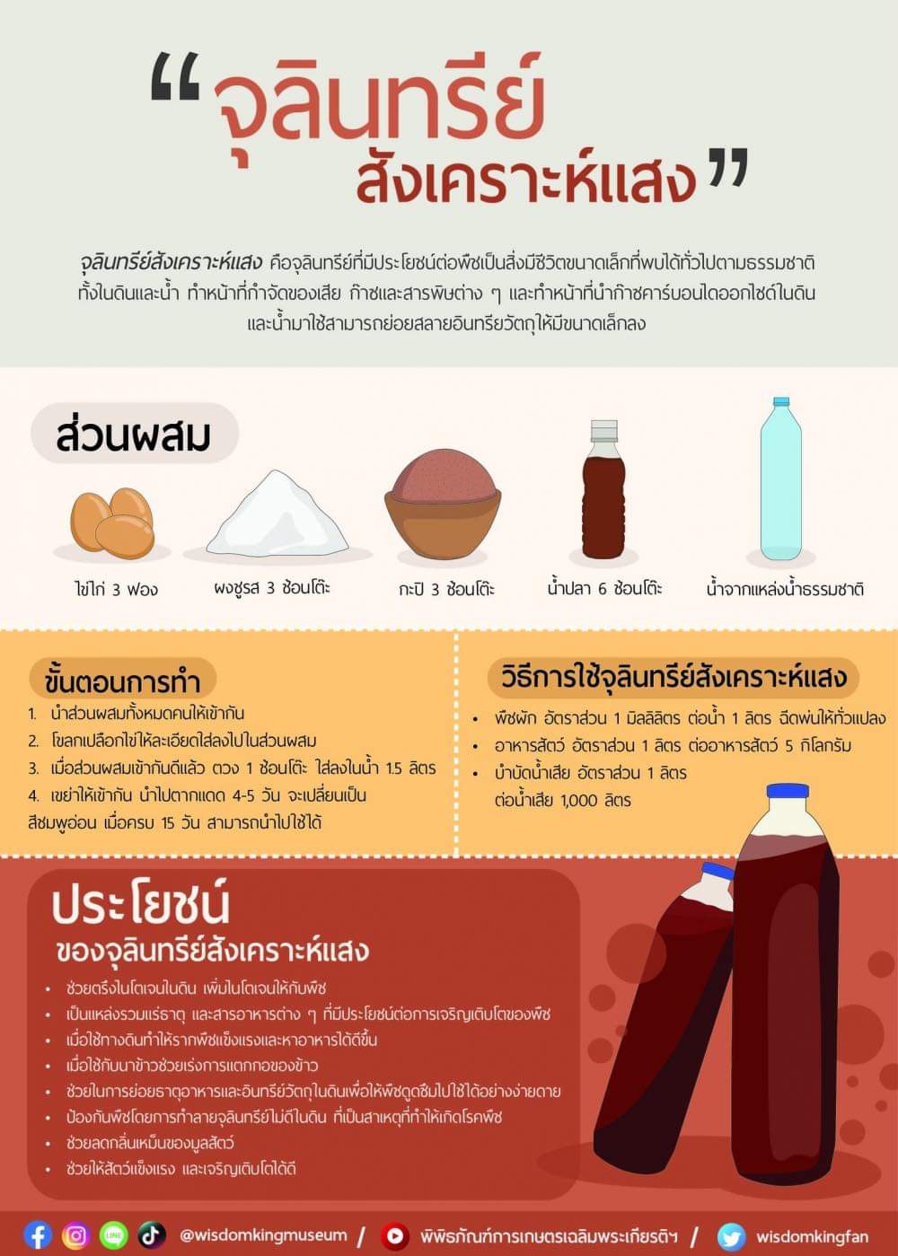 จุลินทรีย์สังเคราะห์แสง