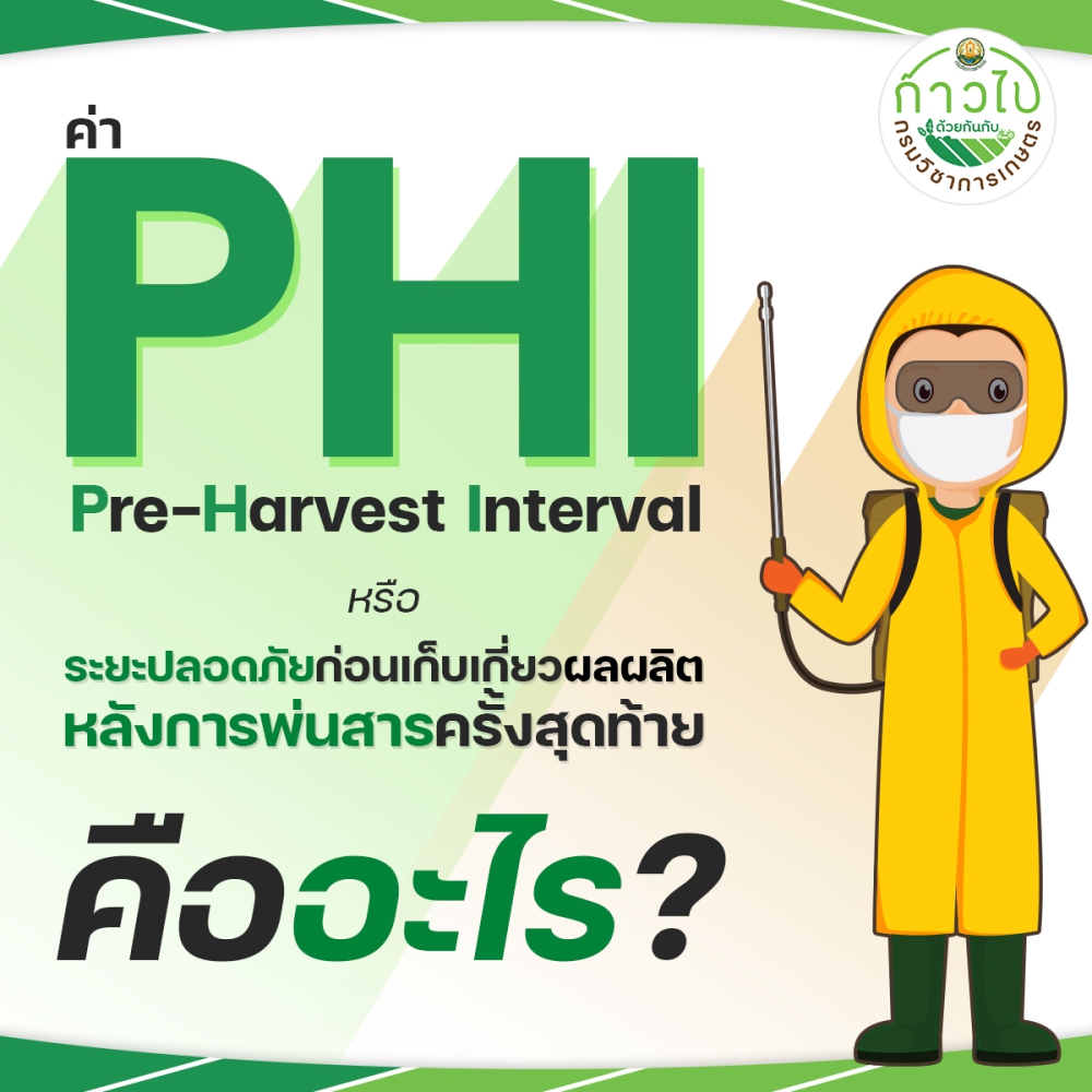PHI(Pre-HarvestInterval)หรือระยะปลอดภัยก่อนเก็บเกี่ยวผลผลิตหลังการพ่นสารครั้งสุดท้าย