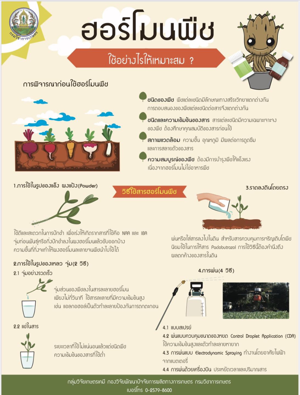 ฮอร์โมนพืช ใช้อย่างไรให้เหมาะสม