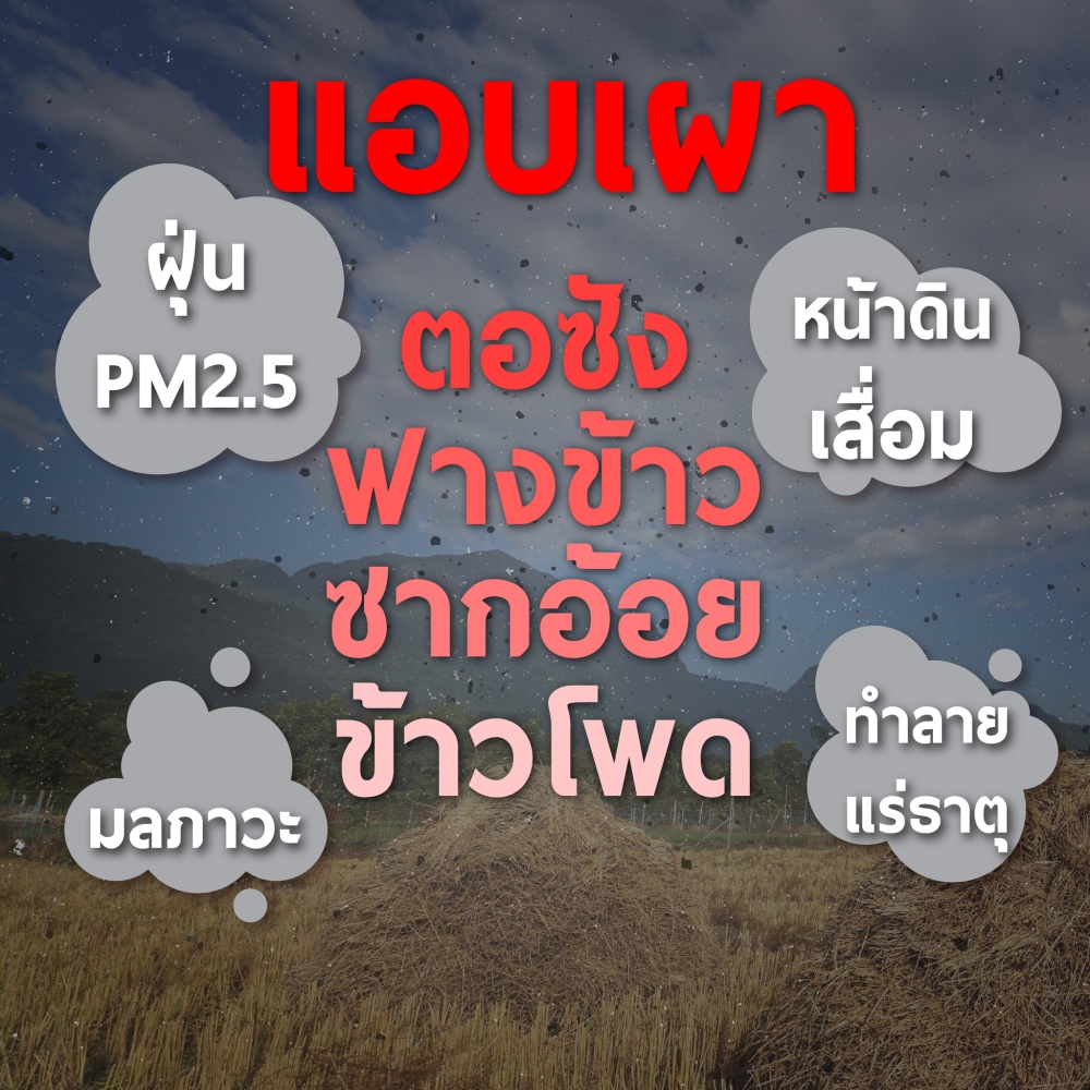 เปลี่ยนฟาง..เป็นปุ๋ยดิน