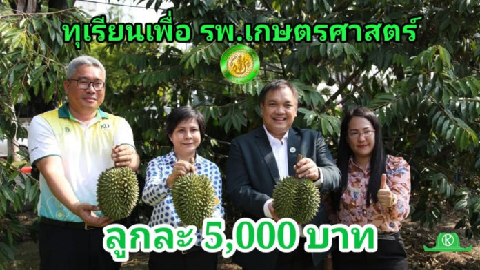 ทุเรียนม.เกษตรฯลูกละ5,000บาทเพื่อสมทบทุนสร้าง