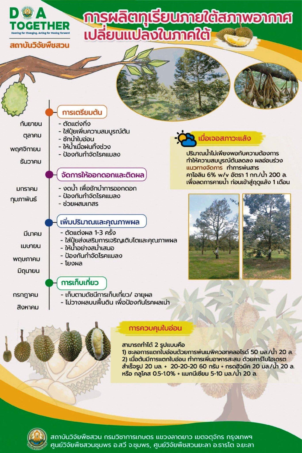 การผลิตทุเรียนภายใต้สภาพอากาศเปลี่ยนแปลงในภาคใต้