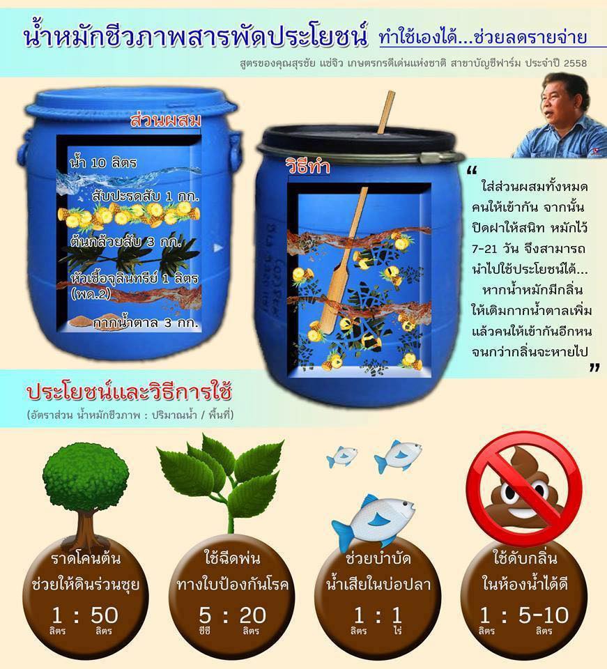 น้ำหมักชีวภาพสารพัดประโยชน์