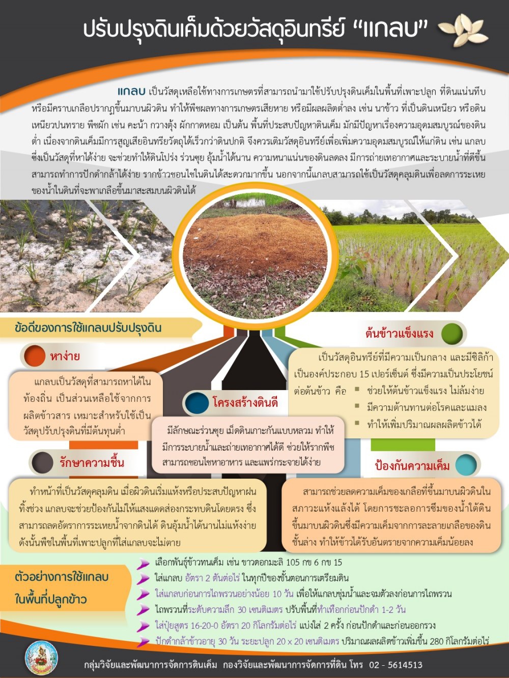 ปรับปรุงดินเค็มด้วยวัสดุอินทรีย์ “แกลบ”