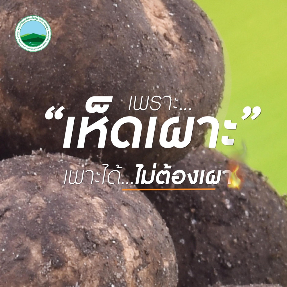 เพราะ “เห็ดเผาะ” เพาะได้ ไม่ต้องเผา