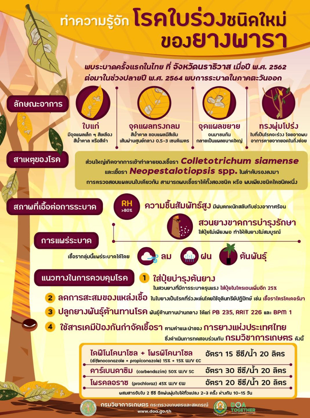 โรคใบร่วงชนิดใหม่