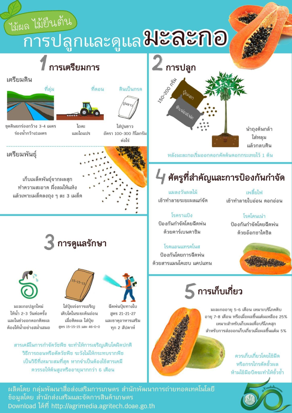 การปลูกและดูแลมะละกอ
