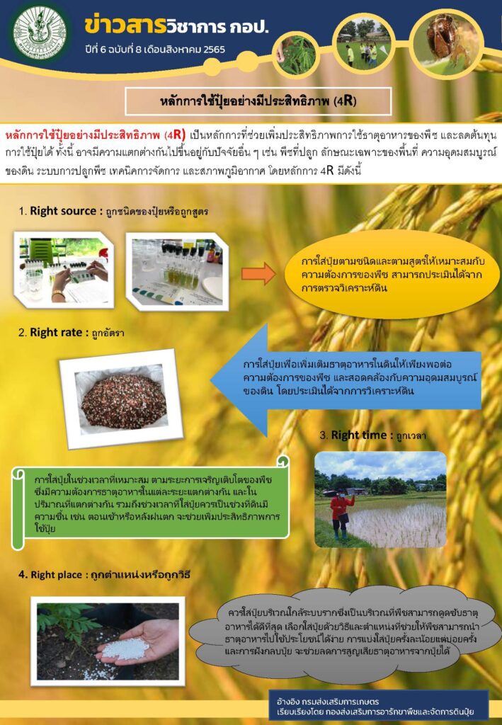 หลักการใช้ปุ๋ยอย่างมีประสิทธิภาพ (4R)