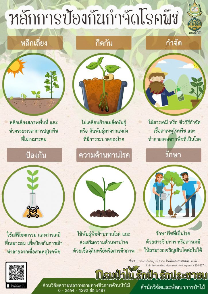 หลักการป้องกันโรคพืช