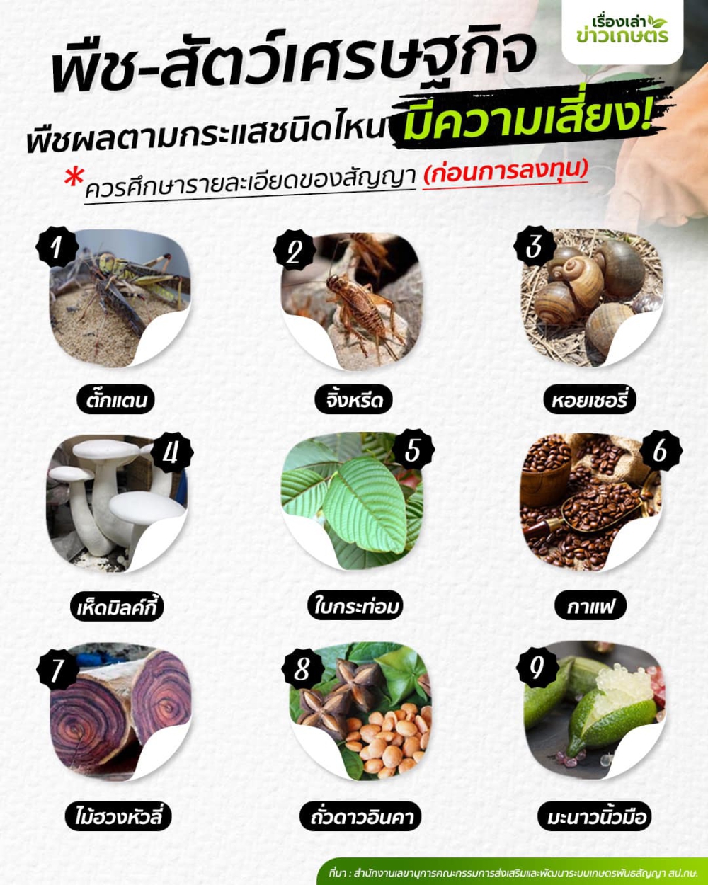 พืช - สัตว์เศรษฐกิจ ตามกระแสชนิดไหนมีความเสี่ยง