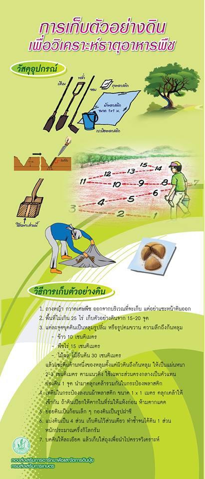 การเก็บตัวอย่างดินเพื่อวิเคราะห์ธาตุอาหารพืช