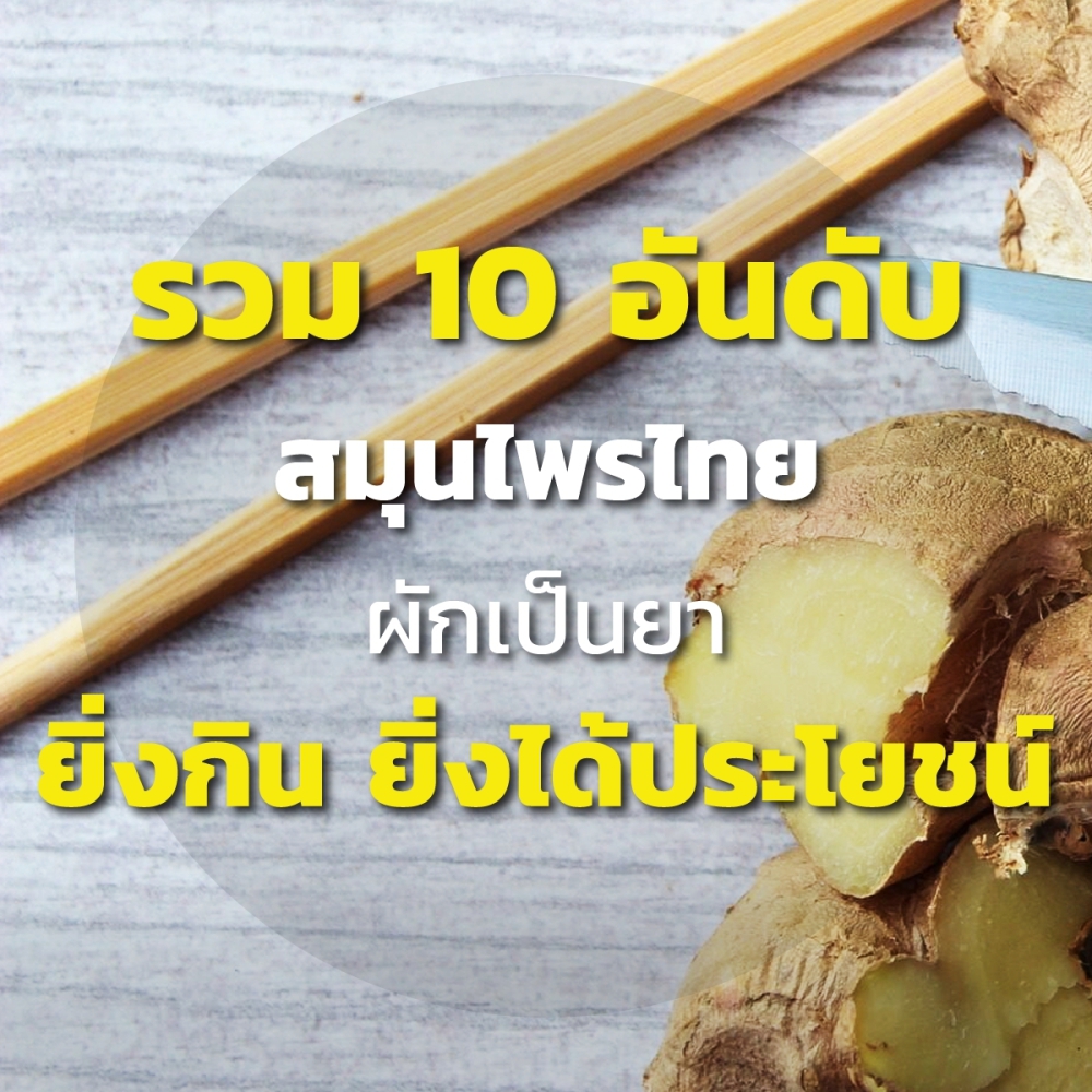 10 อันดับสมุนไพรไทย ผักเป็นยา ยิ่งกิน ยิ่งได้ประโยชน์